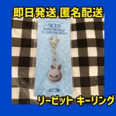 スキズ ポガリ EVIL SKZOO アクリルキーリング　リービット　リノ