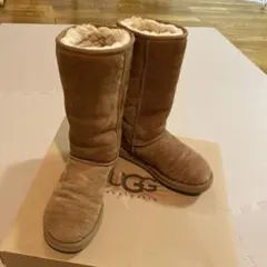 Item thumbnail for item fbb1115f-d45d-4d66-91f5-30f807d11d12