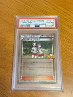 【PSA10】ポケモンカード センパイとコウハイ 20th プロモ XY-P PSA10鑑定済〕センパイとコウハイ(20thアニバーサリー)【P】{XY-P}