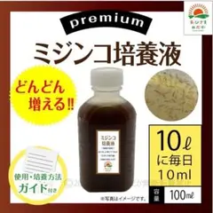 ブタちゃん様 リクエスト 3点 まとめ商品