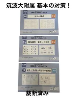2026年最新】ばっちりくんドリル 応用編 裁断済の人気アイテム