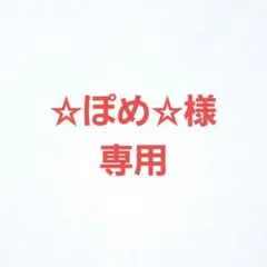 ☆ぽめ☆様　専用
