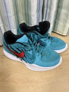Nike JA2 EP 25.5cm
