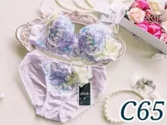 サルート26【高慢と偏見】 C65+ショーツ PU プッシュアップブラ