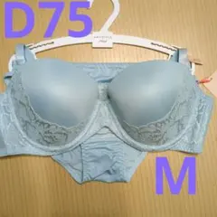 トリンプ 　D75　アモスタイルＴシャツブラ ショーツ ブルー　スムースブラ