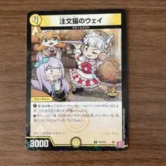 注文猫のウェイ　プロモ