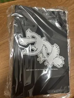 2010年ポケモンセンター(ポケセン)限定ルギア ホウオウ A4クリア