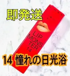 【新品／未開封】 14 憧れの日光浴 リップモンスター KATE 限定色