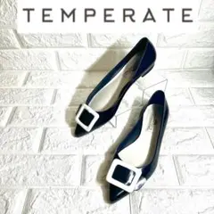 【ほぼ未使用】TEMPERATE レインシューズ　ラバーシューズ