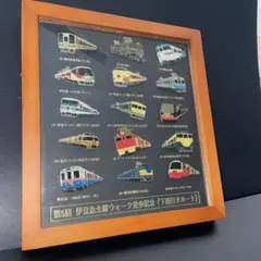 JR・伊豆急車両ピンバッジ 第5回伊豆急全線ウォーク完歩記念 ピンバッジ額装