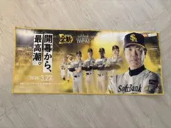 ひろ様 リクエスト 2点 まとめ商品