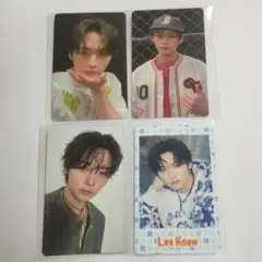 straykids リノ タレントカード