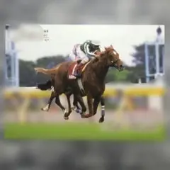 Road to the Winner、タイキシャトル 【5点300円】