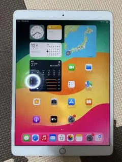 Apple ipad pro 10.5 512GB バテッリー容量95%のサムネイル