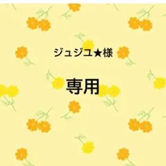ジュジュ★様　おまとめ品専用出品