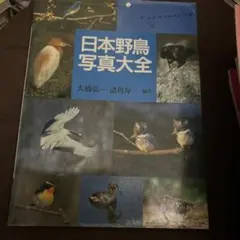 日本の鳥 1995 写真集 - メルカリ