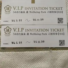 うめきた温泉 蓮 VIP招待券2枚