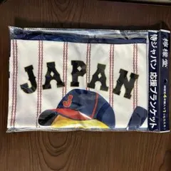 当時物！2枚！□ 1975 明治大学 東京六大学野球リーグ戦 タペストリー