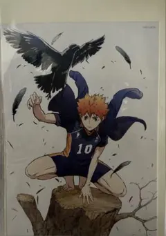 ハイキュー!! ジャンプショップ 日向翔陽 ブロマイド - メルカリ