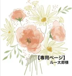 【ルー太郎様】専用ページ　たけいみき×サンリオ　ポチャッコ