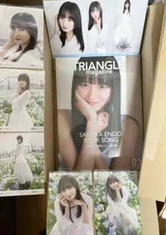 【6点セット】TRIANGLE magazine 03 乃木坂46 遠藤さくら