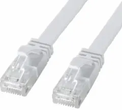【期間限定お値下げ中】CAT6A フラット LANケーブル ロング30m