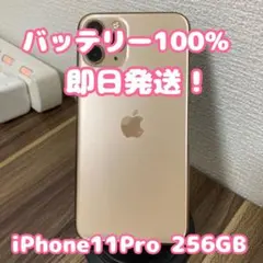 11pro 256gb