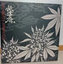 舐達磨 完全未開封 レコード 舐達磨 完全未開封 レコード - メルカリ