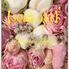 ヒメ様専用ページザボンアレンジ光触媒コーティング