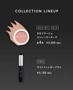 ブリリアージュ カモフラージュ コンシーラーチーク03＆ ワイド