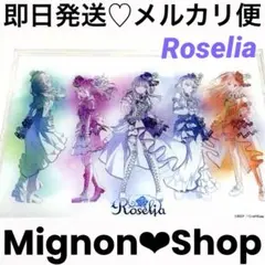 BanG Dream バンドリ Roselia アクリルボード【新品】【レア】