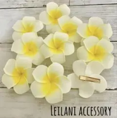 Item thumbnail for item 98682b49-8723-4527-9a1c-a0f48a207659