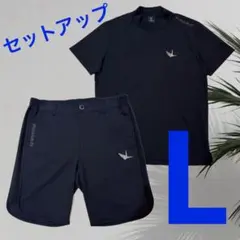 ほぼ未使用】Qクラブ Qgolf オールインワンゴルフクラブ 第2世代