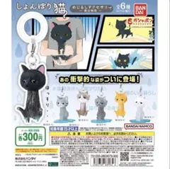 しょんぼり猫 めじるしアクセサリー 救出物語 長毛A