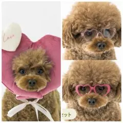 3COINSバレンタインハート顔ハメ＆メガネセットスリコ