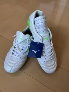 Item thumbnail for item 4c1c546f-2f2a-4331-929b-1a772ee49e15