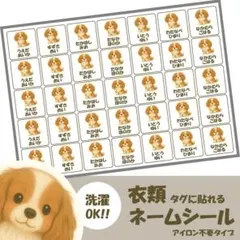 Item thumbnail for item 126e964a-efb3-4fd8-a444-9effe1c12ca9