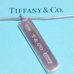 極美品 ティファニー ネックレス ナローバー プレート スネークチェーン