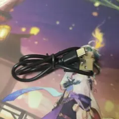 USB Type-C ケーブル ブラック