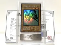 遊戯王 アナザーバースストラディオス SR 25YC-JP001 封筒付 - メルカリ