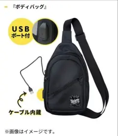HAWKS ファンクラブ会員限定ボディバッグ USBポート付きのサムネイル