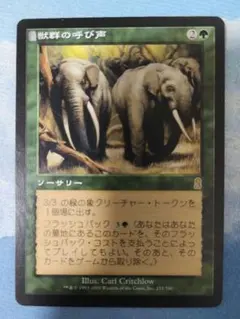 MTG　獣群の呼び声/Call of the Herd