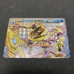 2026年最新】Pokemon Card Game シリーズ：XY／XYBREAK ポケモンカード