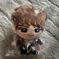 SnowMan 向井康二 すのチル ぬいぐるみ未開封