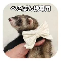 ぺこぽん様専用