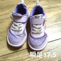瞬足 紫色 スニーカー 17.5cm