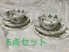 【WEDGWOODWILDSTRAWBERRY】カップ2ソーサー2プレート計6点