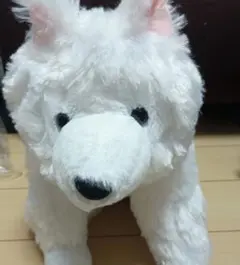 Item thumbnail for item 1f9c37d9-fb31-4f22-99f6-6f998f918357