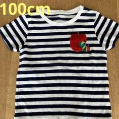 graniph はらぺこあおむし ネイビーボーダーTシャツ 100