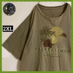 コスタリカ アニマル Tシャツtシャツ オオハシ ANIMAL オーバーサイズ